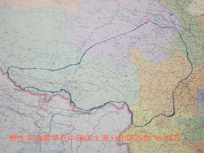 ���x(ch��ng)�Ĳݷֲ�����,���x(ch��ng)�Ĳݷֲ��ط�,�x(ch��ng)�ݷֲ����c(di��n),���x(ch��ng)�Ĳݵķֲ�λ��,�x(ch��ng)�ݷֲ��ĵط�