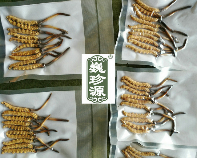 �r�x��,���r���x�Ĳ�,���r�x�ݺ͸��x���Ă�(g��)�I�B(y��ng)�r(ji��)ֵ��,���x�Ĳ����r�ĺ͸ɵ��Ă�(g��)�I�B(y��ng)�r(ji��)ֵ��,���r�x�ݺ͸��x�ݠI�B(y��ng)�r(ji��)ֵ�Ă�(g��)����