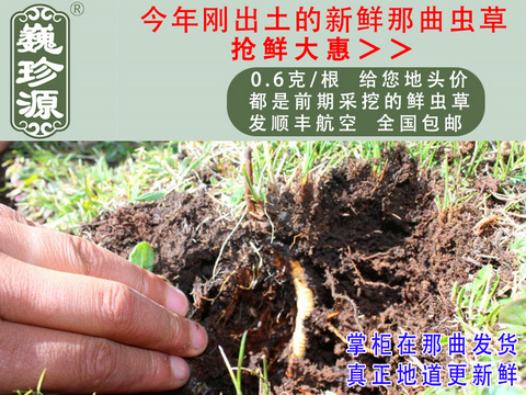 ���r���x�Ĳ����������r�x����Ρ��Դ0.6��/���^�����r�������x�Ĳ��������ڳ����������^�����r�x��