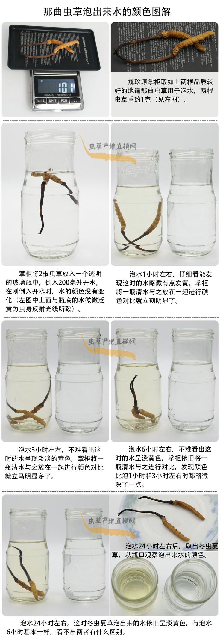 ���x�Ĳ��ݳ���ˮ���ɫ�����x�Ĳ��ݳ�����ˮ��ʲô�ɫ�����x�Ĳ���ˮ���ɫ��׃�����������x�����^ˮ��ˮ׃��ʲô�ɫ