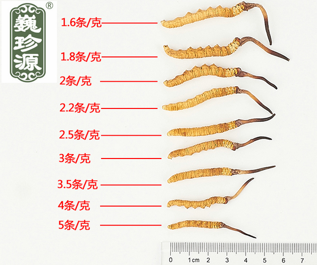 ���x�Ĳ�,���x�Ĳݵ�Ҏ(gu��)��