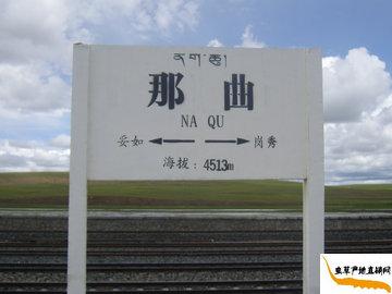 ���x(ch��ng)�Ĳݮa(ch��n)��,�x(ch��ng)�ݵĮa(ch��n)�������������θ߶�4513��