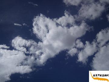 ���x(ch��ng)�ĲݵĮa(ch��n)��-���������՚�ܝ���,��Ȼ�h(hu��n)���o(w��)��Ⱦ,���(y��u)�|(zh��)�������x(ch��ng)�ݮa(ch��n)��