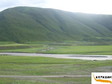 �����x(ch��ng)�ݮa(ch��n)����Ȼ�L(f��ng)��,���x(ch��ng)�Ĳݮa(ch��n)��