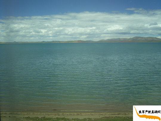 �e(cu��)�Ǻ�,��܇(ch��)���Ĕz�e(cu��)�Ǻ��DƬ