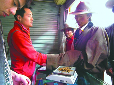 ���x�Ĳ��I�u,�����x�ݽ������Z,�x���I�uӑ�r(ji��)߀�r(ji��)�ð��Z